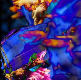 Floralicious art: by guy g