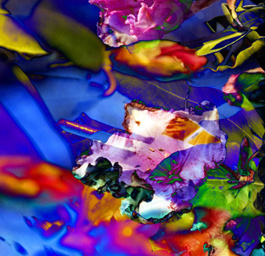 Floralicious art: by guy g