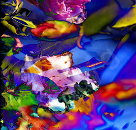 Floralicious art: by guy g