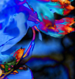 Floralicious art: by guy g