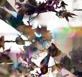 Floralicious art: by guy g