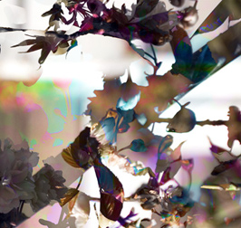 Floralicious art: by guy g