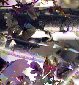 Floralicious art: by guy g