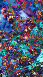 Floralicious art: by guy g