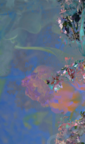 Floralicious art: by guy g