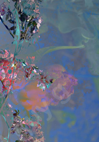 Floralicious art: by guy g