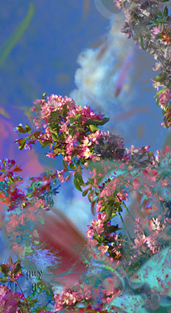 Floralicious art: by guy g