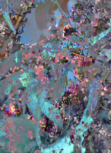 Floralicious art: by guy g