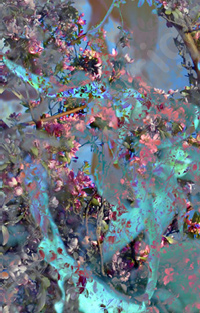 Floralicious art: by guy g