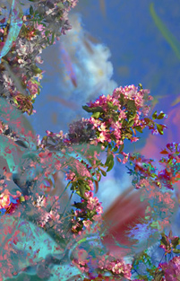 Floralicious art: by guy g