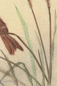 Japanese washi paper art by Kyoko Niikuni