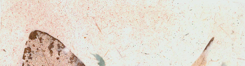 Japanese washi paper art by Kyoko Niikuni