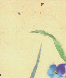 Japanese washi paper art by Kyoko Niikuni