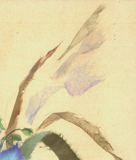 Japanese washi paper art by Kyoko Niikuni