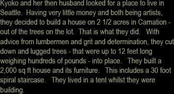 the house built by Kyoko Niikuni